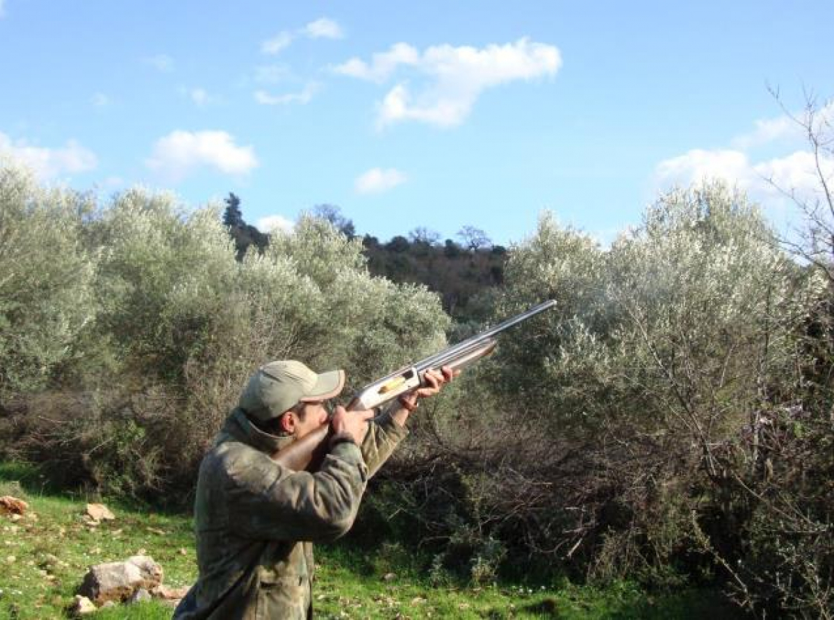 Έκκληση από Τμήμα Δασών για προστασία των δασών ενόψει κυνηγετικής περιόδου